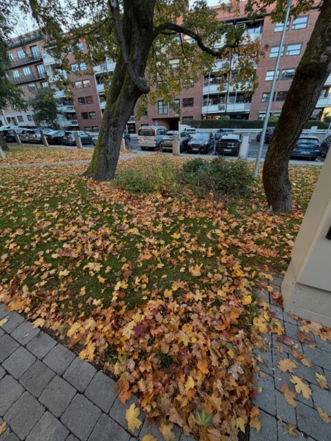 Vedlikehold av uteområder